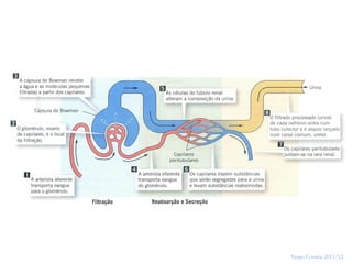 24




     Nuno Correia 2011/12
 
