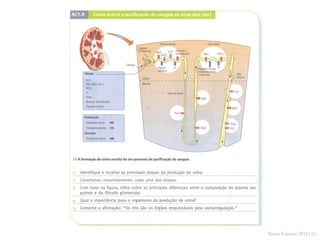 26




     Nuno Correia 2011/12
 