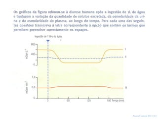 30




     Nuno Correia 2011/12
 