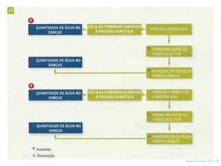 37




     Nuno Correia 2011/12
 