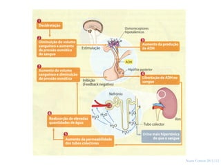 38




     Nuno Correia 2011/12
 