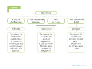 39




     Nuno Correia 2011/12
 
