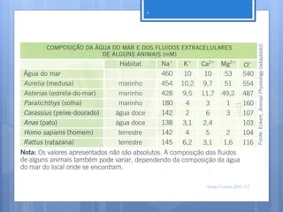 4




    Nuno Correia 2011/12
 