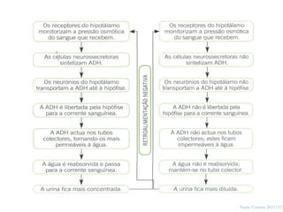 41




     Nuno Correia 2011/12
 