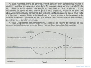 42




     Nuno Correia 2011/12
 