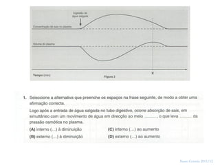 43




     Nuno Correia 2011/12
 