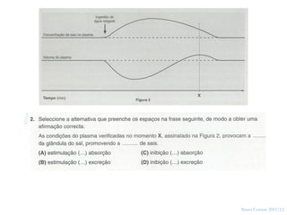 44




     Nuno Correia 2011/12
 
