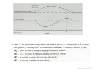 45




     Nuno Correia 2011/12
 