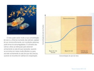 5




    Nuno Correia 2011/12
 