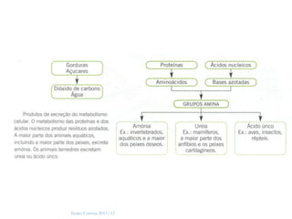 6




Nuno Correia 2011/12
 