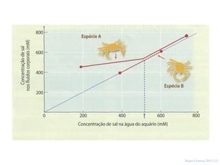 8




    Nuno Correia 2011/12
 