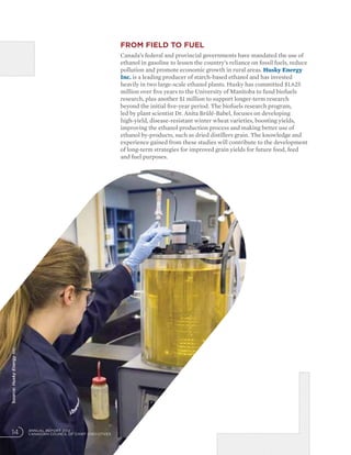 ANNUAL REPORT 2012
CANADIAN COUNCIL OF CHIEF EXECUTIVES14
From field to fuel
Canada’s federal and provincial governments have mandated the use of
ethanol in gasoline to lessen the country’s reliance on fossil fuels, reduce
pollution and promote economic growth in rural areas. Husky Energy
Inc. is a leading producer of starch-based ethanol and has invested
heavily in two large-scale ethanol plants. Husky has committed $1.625
million over five years to the University of Manitoba to fund biofuels
research, plus another $1 million to support longer-term research
beyond the initial five-year period. The biofuels research program,
led by plant scientist Dr. Anita Brûlé-Babel, focuses on developing
high-yield, disease-resistant winter wheat varieties, boosting yields,
improving the ethanol production process and making better use of
ethanol by-products, such as dried distillers grain. The knowledge and
experience gained from these studies will contribute to the development
of long-term strategies for improved grain yields for future food, feed
and fuel purposes.
Source:HuskyEnergyInc.
 