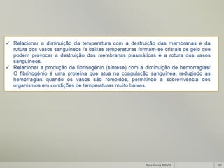 Nuno Correia 2011/12   10
 