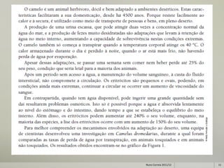 Nuno Correia 2011/12   11
 