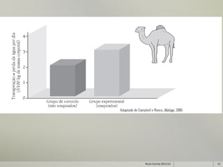 Nuno Correia 2011/12   12
 