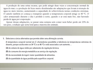 Nuno Correia 2011/12   13
 