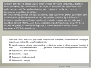 Após um período sem acesso a água, a manutenção do volume sanguíneo, à custa do
fluido intersticial, não compromete a circulação. Os eritrócitos são pequenos e ovais,
podendo, em condições ainda mais extremas, continuar a circular se ocorrer um
aumento de viscosidade do sangue.
Em contrapartida, quando tem água disponível, pode ingerir uma grande quantidade sem
daí resultarem problemas osmóticos. Isto só é possível porque a água é absorvida
lentamente ao nível do estômago e do intestino, dando tempo a que se estabeleça o
equilíbrio do meio interno. Além disso, os eritrócitos podem aumentar até 240% o seu
volume, enquanto, na maioria das espécies, a lise dos eritrócitos ocorre com um
aumento de 150% do seu volume.




                                                         Nuno Correia 2011/12            14
 