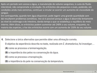 Após um período sem acesso a água, a manutenção do volume sanguíneo, à custa do fluido
intersticial, não compromete a circulação. Os eritrócitos são pequenos e ovais, podendo, em
condições ainda mais extremas, continuar a circular se ocorrer um aumento de viscosidade do
sangue.
Em contrapartida, quando tem água disponível, pode ingerir uma grande quantidade sem
daí resultarem problemas osmóticos. Isto só é possível porque a água é absorvida lentamente
ao nível do estômago e do intestino, dando tempo a que se estabeleça o equilíbrio do meio
interno. Além disso, os eritrócitos podem aumentar até 240% o seu volume, enquanto, na
maioria das espécies, a lise dos eritrócitos ocorre com um aumento de 150% do seu volume.




                                                             Nuno Correia 2011/12             16
 