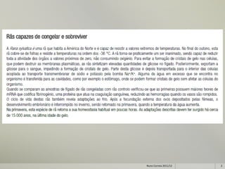 Nuno Correia 2011/12   2
 