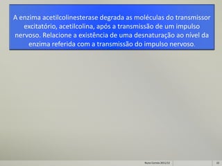 A enzima acetilcolinesterase degrada as moléculas do transmissor
   excitatório, acetilcolina, após a transmissão de um impulso
nervoso. Relacione a existência de uma desnaturação ao nível da
     enzima referida com a transmissão do impulso nervoso.




                                          Nuno Correia 2011/12     22
 