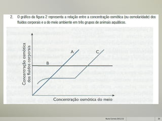 Nuno Correia 2011/12   25
 