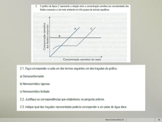 Nuno Correia 2011/12   26
 