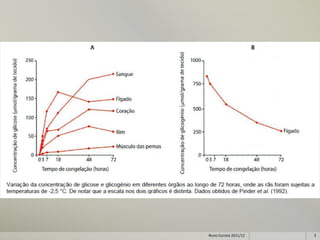 Nuno Correia 2011/12   3
 