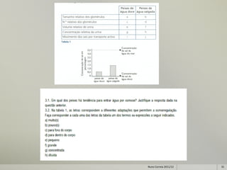 Nuno Correia 2011/12   31
 