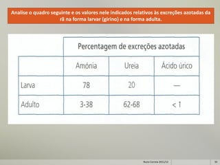 Analise o quadro seguinte e os valores nele indicados relativos às excreções azotadas da
                     rã na forma larvar (girino) e na forma adulta.




                                                          Nuno Correia 2011/12             33
 
