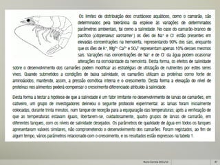Nuno Correia 2011/12   37
 