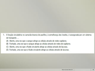 Nuno Correia 2011/12   39
 