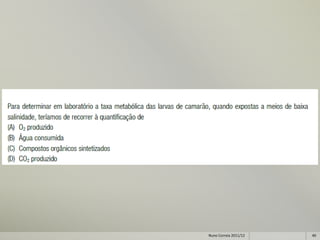 Nuno Correia 2011/12   40
 