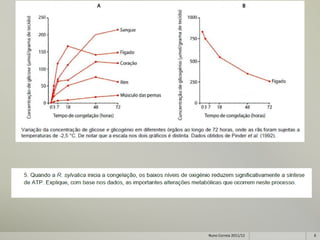 Nuno Correia 2011/12   6
 