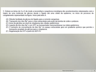 Nuno Correia 2011/12   8
 