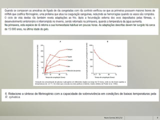 Nuno Correia 2011/12   9
 
