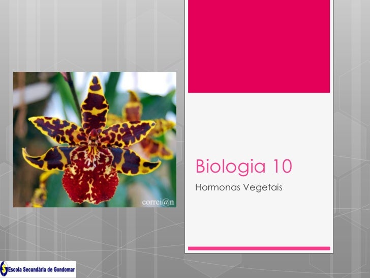 Biologia 10Hormonas Vegetais 