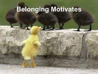 Training of Trainers
Mohammad Tawfik
#AcademyOfKnowledge
http://AcademyOfKnowlwdge.org
Belonging Motivates
 