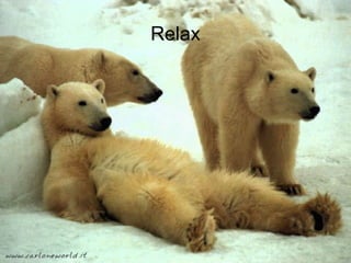 The Presentaton
Mohammad Tawfi
#WiiiCourses
http:////WiiiCoursesWWiiiSpaeesWeom
Relax
 