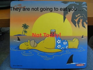 The Presentaton
Mohammad Tawfi
#WiiiCourses
http:////WiiiCoursesWWiiiSpaeesWeom
They are not going to eat you …
Not Today!
 