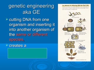 genetic engineering
       aka GE
 cutting DNA from one
  organism and inserting it
  into another organism of
  the same or different
  species,
 creates a
  genetically modified
  organism (GMO)
 