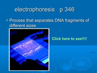 electrophoresis p 346
 Process that separates DNA fragments of
 different sizes

                      Click here to see!!!!
 