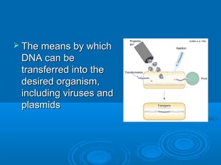  The means by which
 DNA can be
 transferred into the
 desired organism,
 including viruses and
 plasmids
 