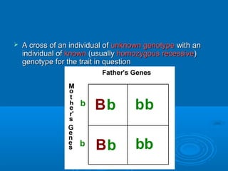    A cross of an individual of unknown genotype with an
    individual of known (usually homozygous recessive)
    genotype for the trait in question
 