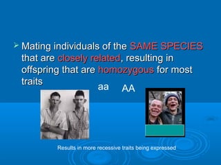  Mating individuals of the SAME SPECIES
 that are closely related, resulting in
 offspring that are homozygous for most
 traits
                    aa AA




          Results in more recessive traits being expressed
 