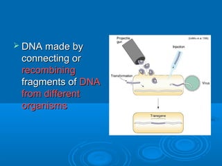  DNA made by
 connecting or
 recombining
 fragments of DNA
 from different
 organisms
 