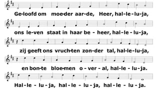Almachtige, verheven Heer, halleluja,
aan U behoort de lof en eer, halleluja.
Wie kan U loven als Gij zijt, halleluja,
wij zegenen uw heerlijkheid, halleluja.
Halleluja, halleluja, halleluja.
Geloofd om moeder aarde, Heer, halleluja,
ons leven staat in haar beheer, halleluja,
zij geeft ons vruchten zonder tal, halleluja,
en bonte bloemen overal, halleluja.
Halleluja, halleluja, halleluja.
 