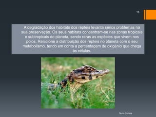 15




 A degradação dos habitats dos répteis levanta sérios problemas na
sua preservação. Os seus habitats concentram-se nas zonas tropicais
  e subtropicais do planeta, sendo raras as espécies que vivem nos
   polos. Relacione a distribuição dos répteis no planeta com o seu
 metabolismo, tendo em conta a percentagem de oxigénio que chega
                               às células.




                                                      Nuno Correia
 