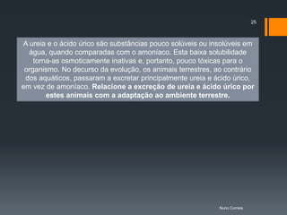 25



A ureia e o ácido úrico são substâncias pouco solúveis ou insolúveis em
  água, quando comparadas com o amoníaco. Esta baixa solubilidade
    torna-as osmoticamente inativas e, portanto, pouco tóxicas para o
 organismo. No decurso da evolução, os animais terrestres, ao contrário
 dos aquáticos, passaram a excretar principalmente ureia e ácido úrico,
em vez de amoníaco. Relacione a excreção de ureia e ácido úrico por
        estes animais com a adaptação ao ambiente terrestre.




                                                            Nuno Correia
 