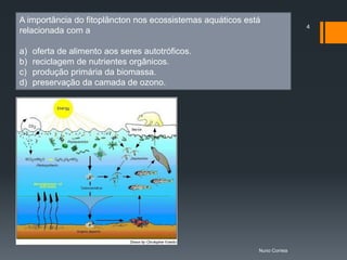A importância do fitoplâncton nos ecossistemas aquáticos está
                                                                           4
relacionada com a

a)   oferta de alimento aos seres autotróficos.
b)   reciclagem de nutrientes orgânicos.
c)   produção primária da biomassa.
d)   preservação da camada de ozono.




                                                            Nuno Correia
 