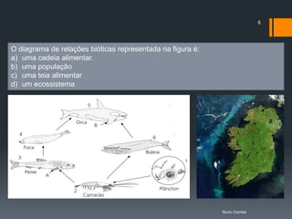 6




O diagrama de relações bióticas representada na figura é:
a) uma cadeia alimentar.
b) uma população
c) uma teia alimentar
d) um ecossistema




                                                            Nuno Correia
 